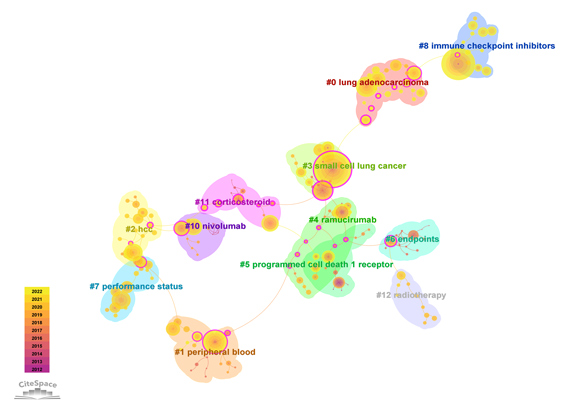 研究作者分析图C